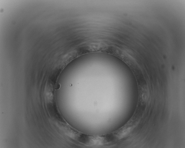 X0000062850226200601201711