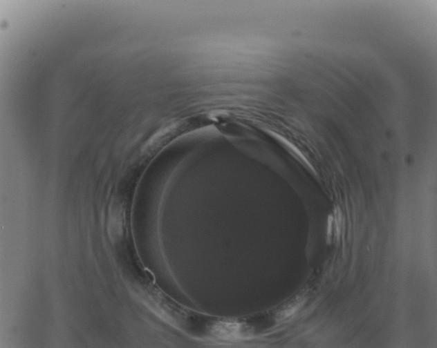 X0000062850227200601201711