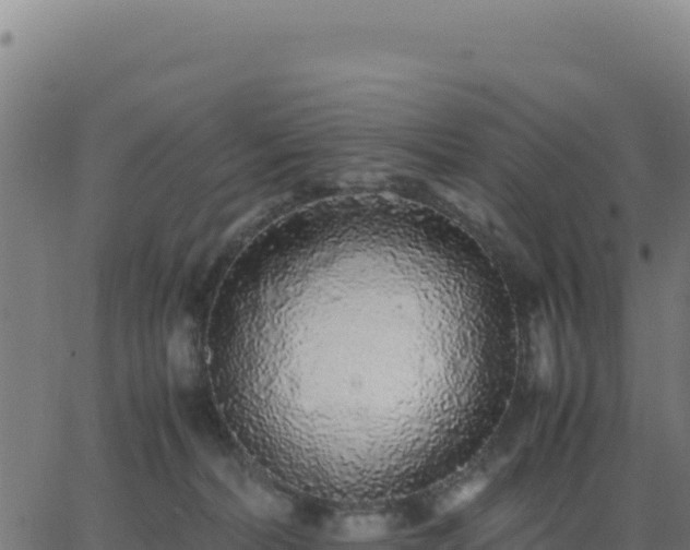 X0000062850228200601201711