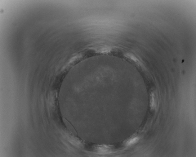 X0000062850229200601201711