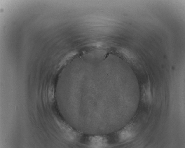 X0000062850230200601201711