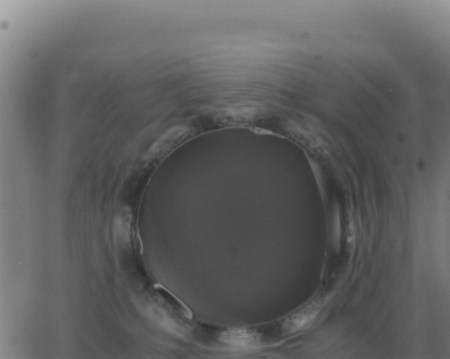 X0000062850231200601201711