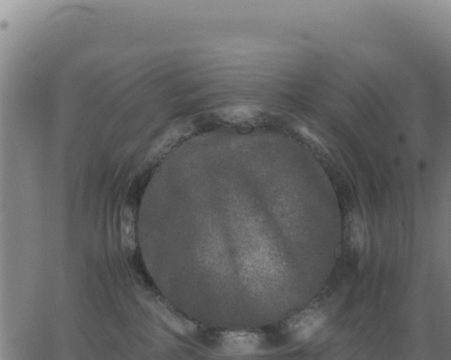 X0000062850234200601201711