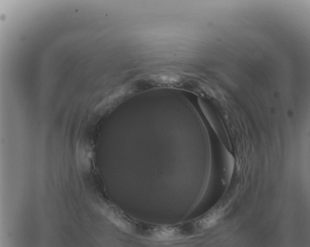 X0000062850235200601201711