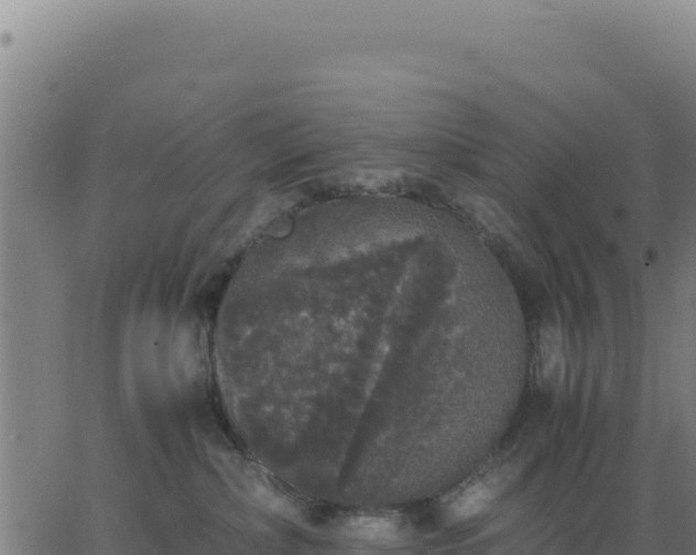 X0000062850236200601201711