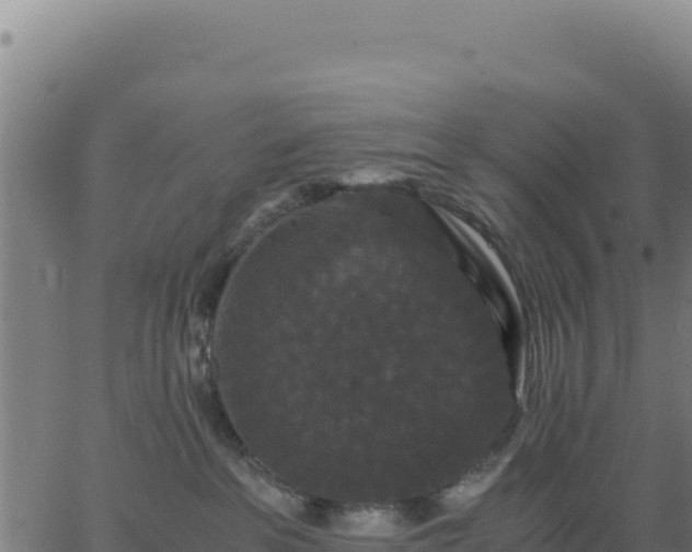 X0000062850237200601201711