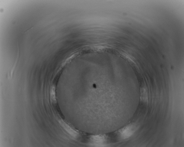 X0000062850238200601201711