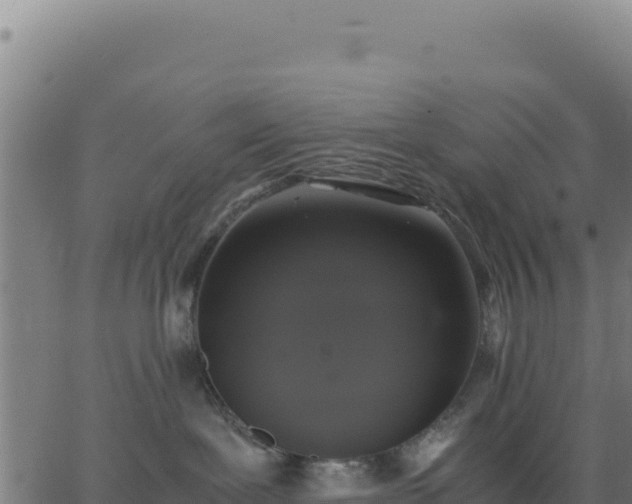 X0000062850239200601201711