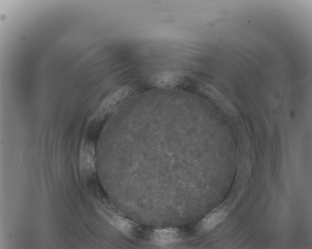 X0000062850240200601201711