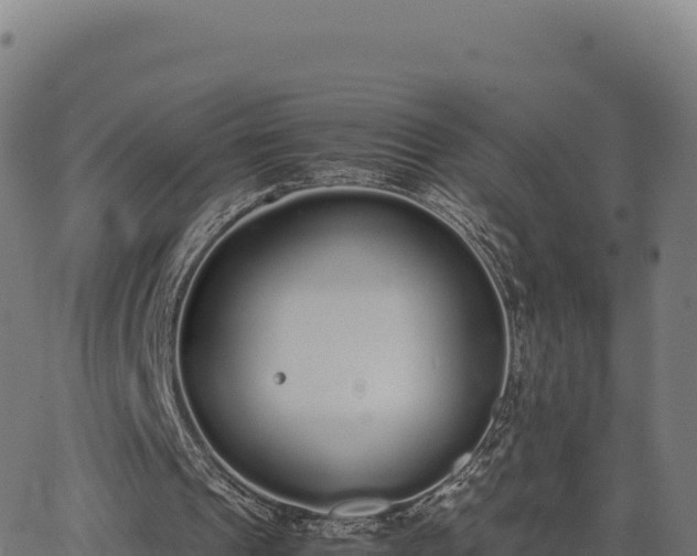 X0000062850241200601201710