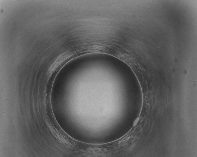 X0000062850242200601201710