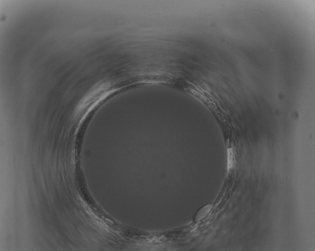 X0000062850243200601201710