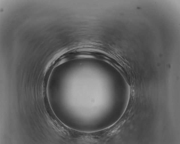 X0000062850244200601201710