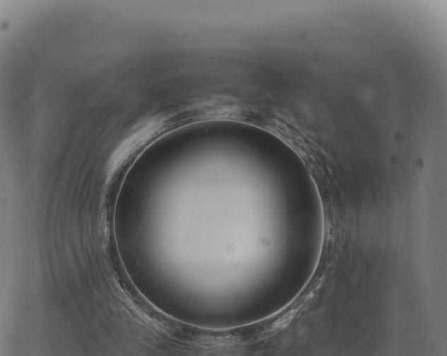 X0000062850245200601201710