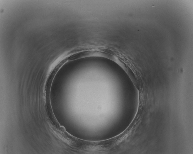 X0000062850246200601201710