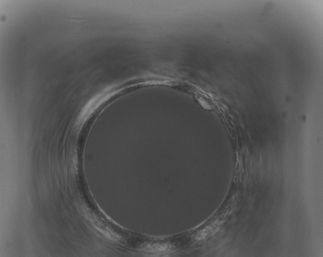 X0000062850247200601201710