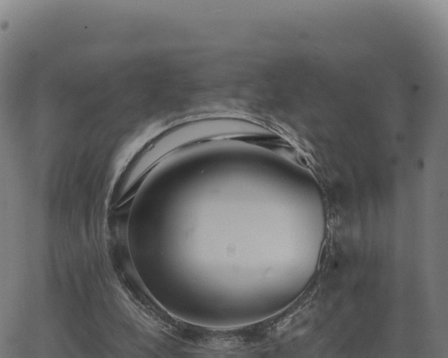 X0000062850248200601201710