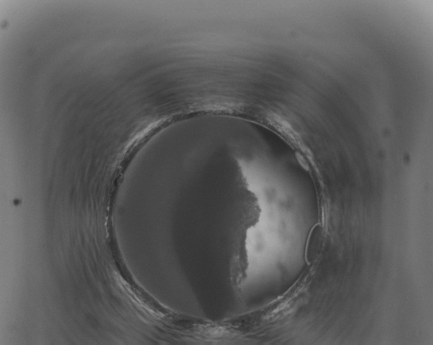 X0000062850249200601201710