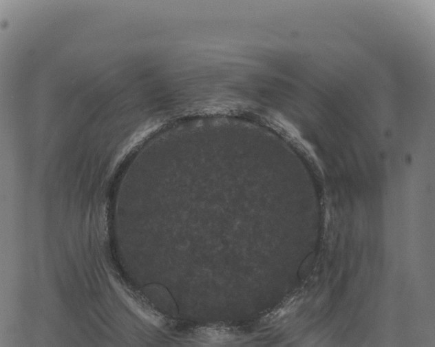 X0000062850250200601201710