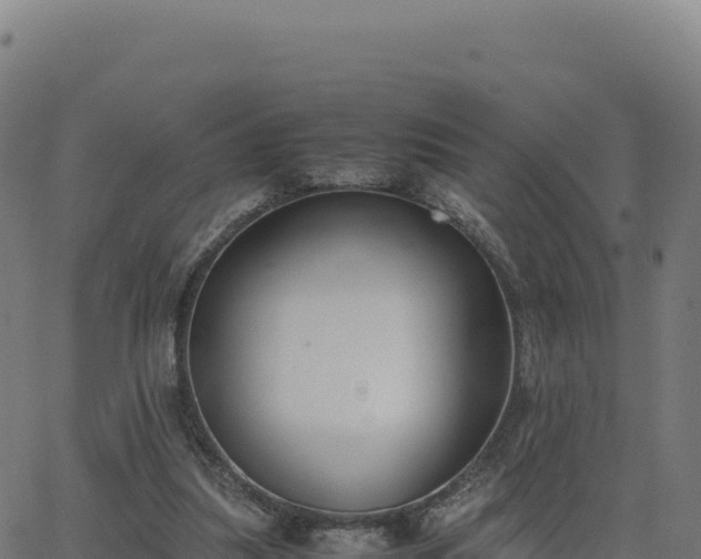 X0000062850251200601201710