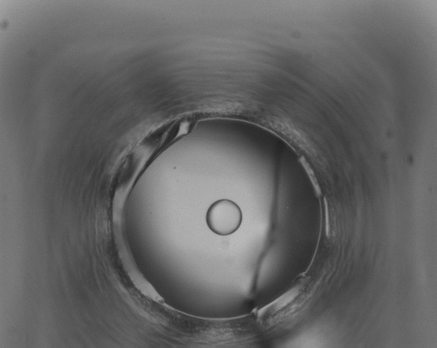 X0000062850252200601201710