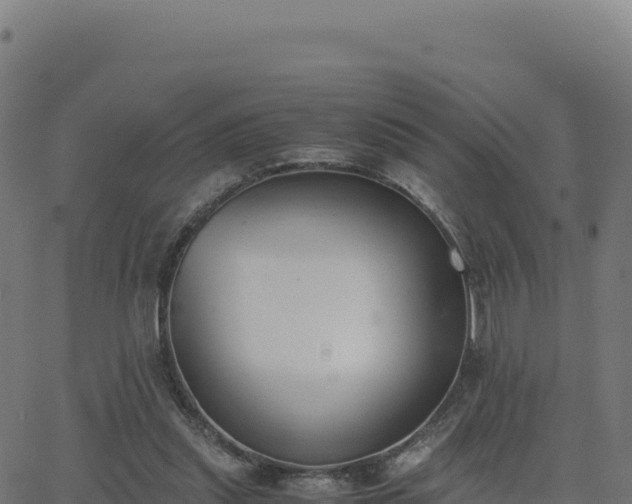 X0000062850253200601201710