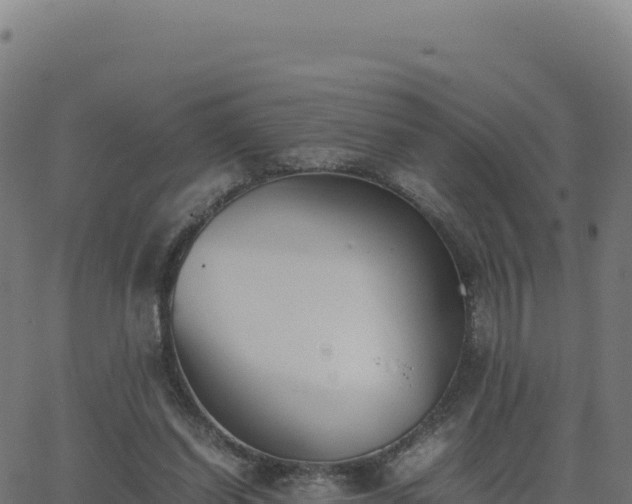 X0000062850254200601201710