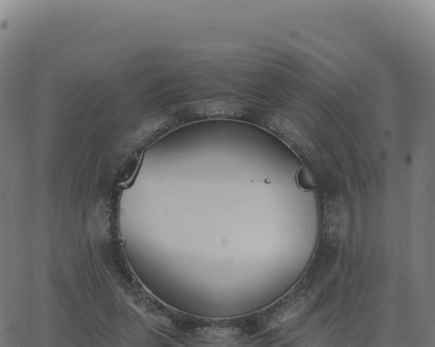 X0000062850255200601201710