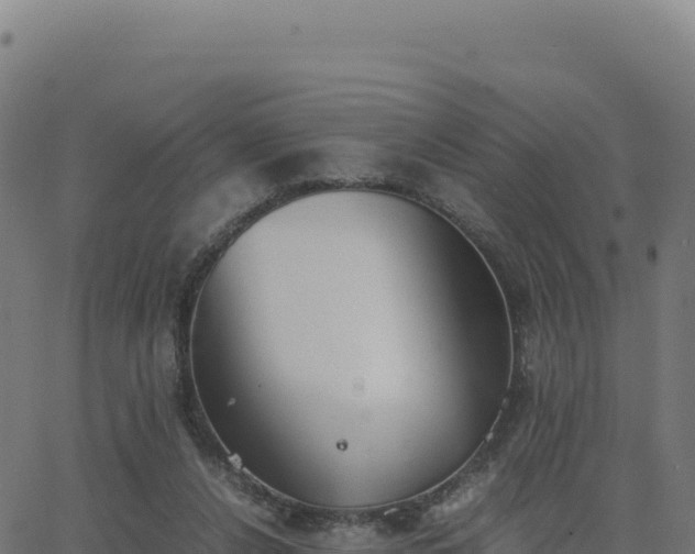 X0000062850256200601201711