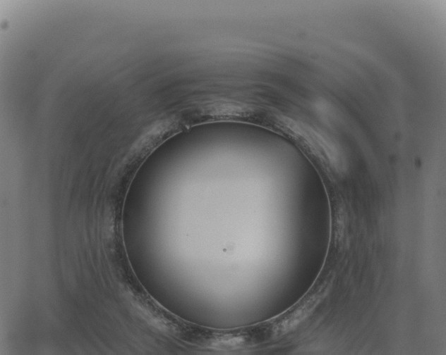 X0000062850257200601201711