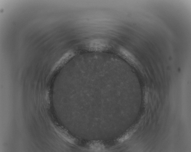 X0000062850258200601201711