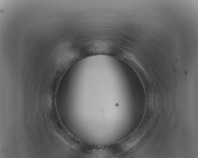 X0000062850259200601201711