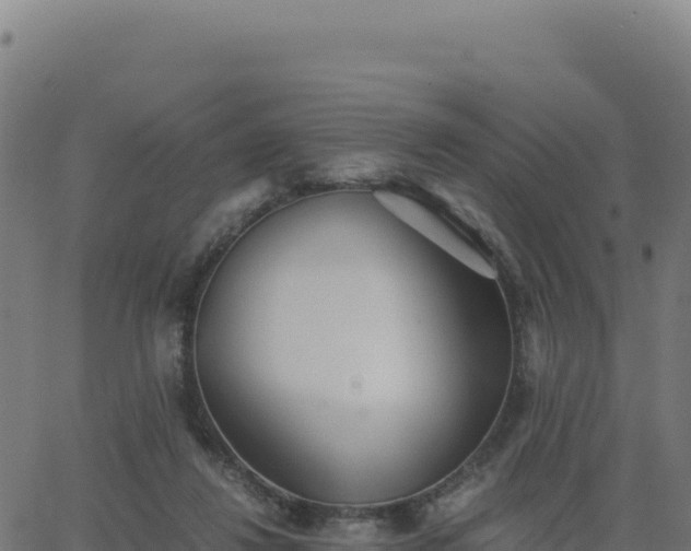 X0000062850260200601201711