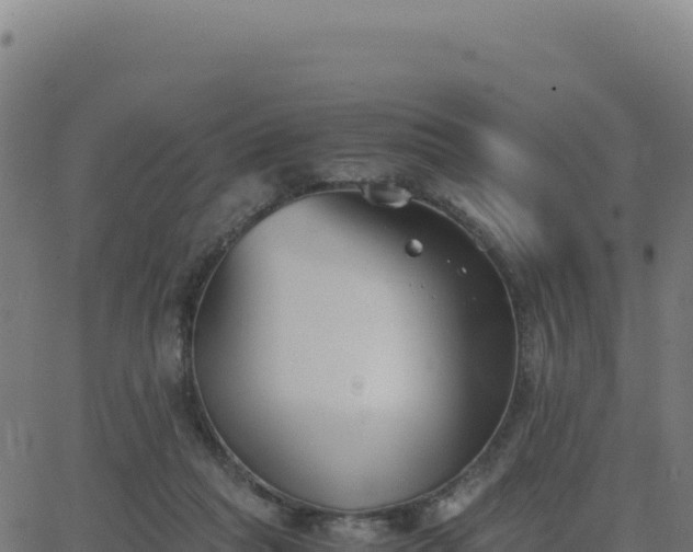 X0000062850261200601201711