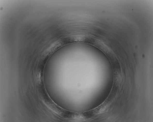 X0000062850262200601201711