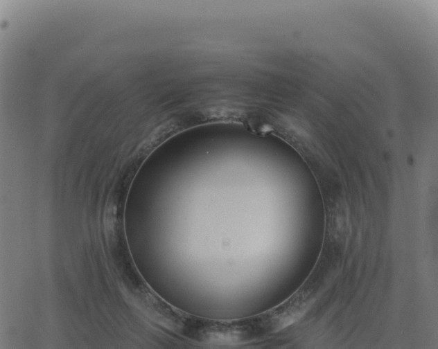 X0000062850263200601201711