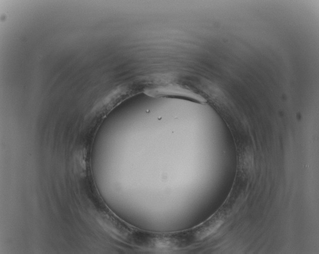 X0000062850264200601201711