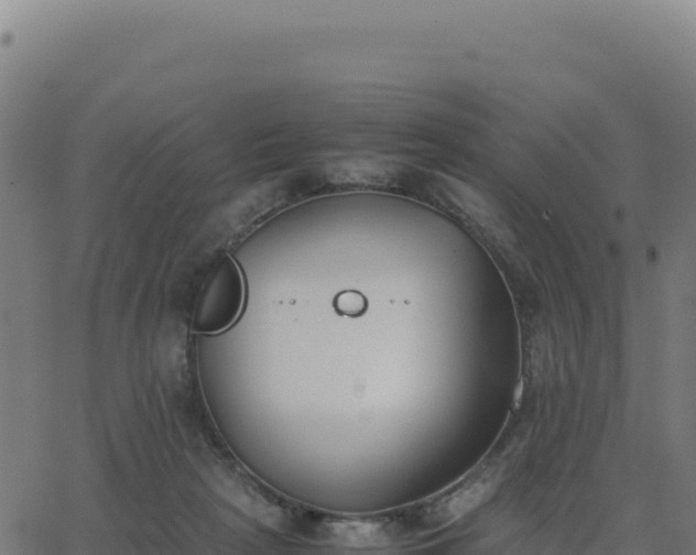 X0000062850265200601201711