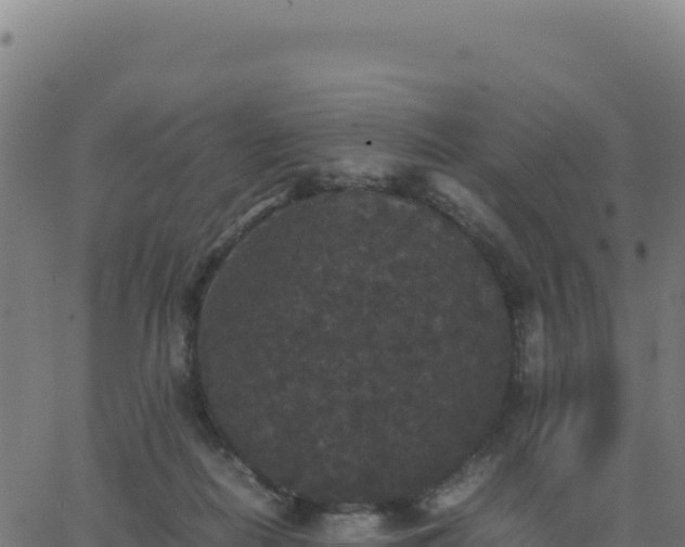 X0000062850266200601201711