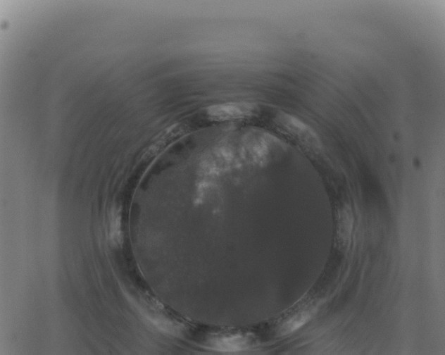 X0000062850267200601201711