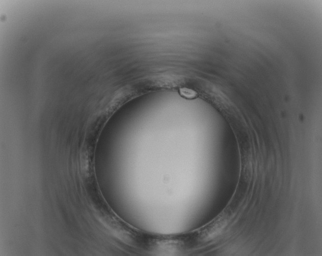 X0000062850268200601201711