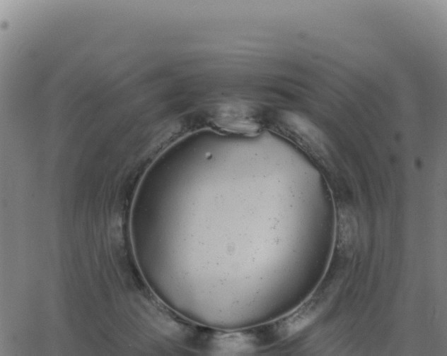 X0000062850269200601201711