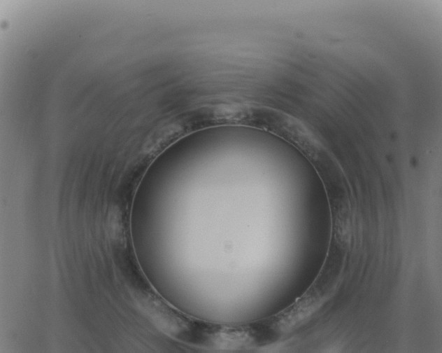 X0000062850270200601201711