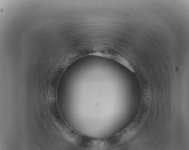 X0000062850272200601201711