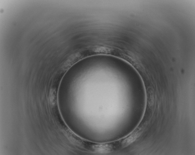 X0000062850273200601201711