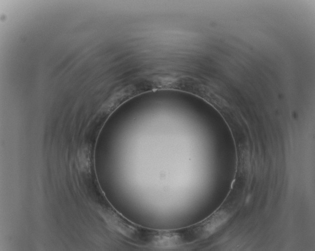 X0000062850274200601201711