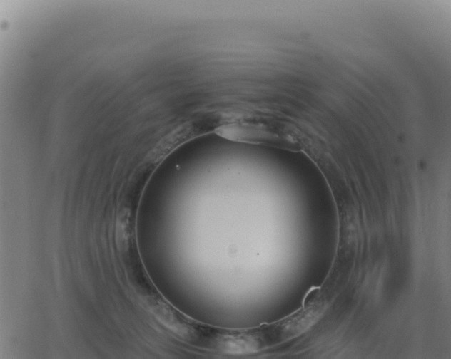 X0000062850275200601201711