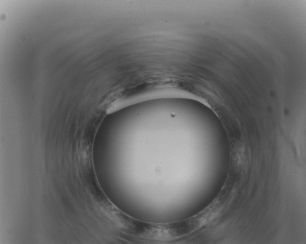 X0000062850276200601201711