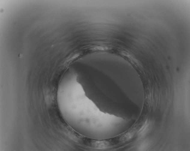 X0000062850277200601201711