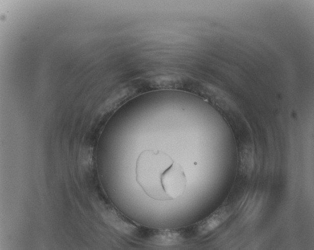 X0000062850278200601201711